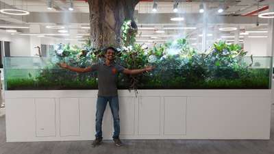 biggest paludarium in India  #paludarium  #viverium  #aquarium  #fishtank