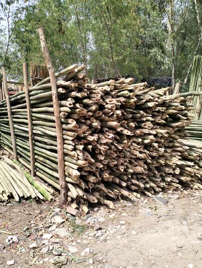 grren bamboo 24ft. olny..150/- mob.7982412269, gurunath timber, nagloi new delhi.