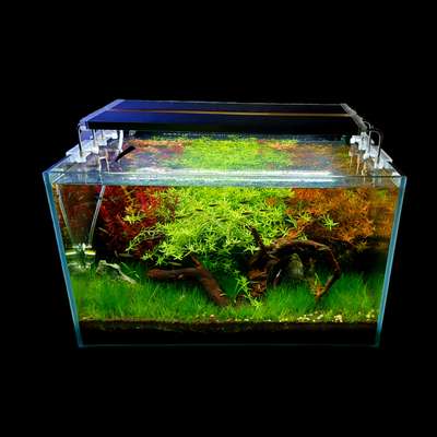 let's build the beautiful Aquarium