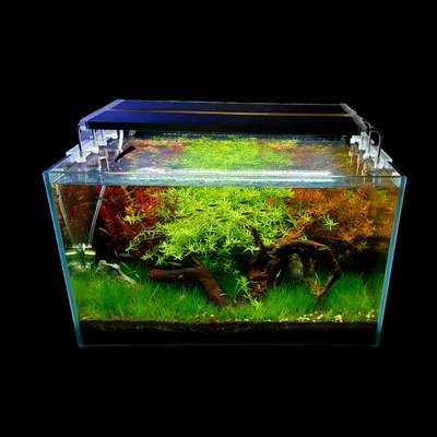 let's build the beautiful Aquarium