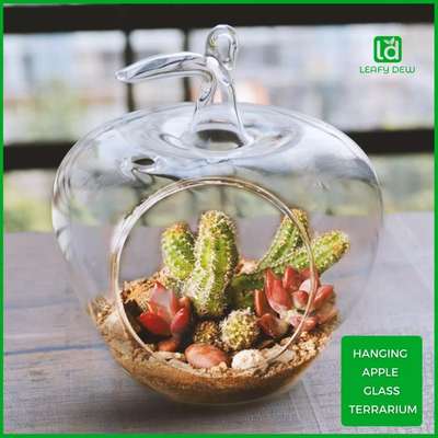 Take a look at this Leafy Dew Hanging Apple Glass Terrarium (4 Inch) with jute rope, snow white sand and white pebbles set
#homedecor #homedesignideas #cornerdecor #indianhome #indoorplantsdecor #indoorplantsofinstagram #planterstand #interiordecor #stylehomme #interiorstyling #plantsdecor #newhome #luxuryhomes #supportsmallbusiness #indoorgarden #onlineshopping #decorhome #bangalore #mumbai #delhi #instahome #livingroominterior #luxurylifestyle #luxuryhomes #hotelsandresorts #decorshopping