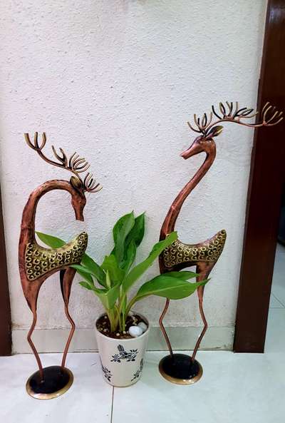 Set of 2 deer .... Big one is 11x8x35 inches..... Small one is 9x8x32 inch's.. 2430 rs.. sav