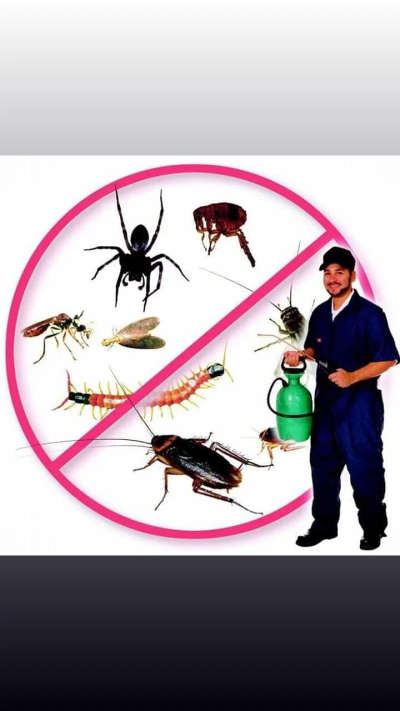 PEST CONTROl  SERVICES🐞
Mail ID pestcontroljaipur2018@gmail.com
Company address H.O:160,Naya Khera,Vidhyadhar Nagar,sector-3,Jaipur Rajasthan
जानकारी करें पेस्ट कंट्रोल क्या आप अपने घर मैं दीमक मच्छरों,कॉकरोच,छिपकली, मक्खी,फॉगिंग फेब्रिकेशन कबूतर नेट सैनिटाइजरऑफिस बैंक घर सैनिटाइजर चूहा,मकडी,खटमल, सभी जयपुर जोधपुर कोटा उदयपुर बीकानेर टोंक पाली नई दिल्ली पुरानी दिल्ली ग्वालियर पूरा मध्य प्रदेश अपने घर मैं की समस्या से पूरी तरह आजादी चाहते है सभी कीटो की रोकथाम के लिए काल करे
Call now
9024612844,91,7014695620