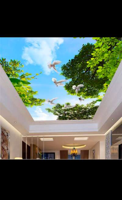 *PVC fabric backlight ceiling *
euro pvc fabric backlight ceiling,
all India