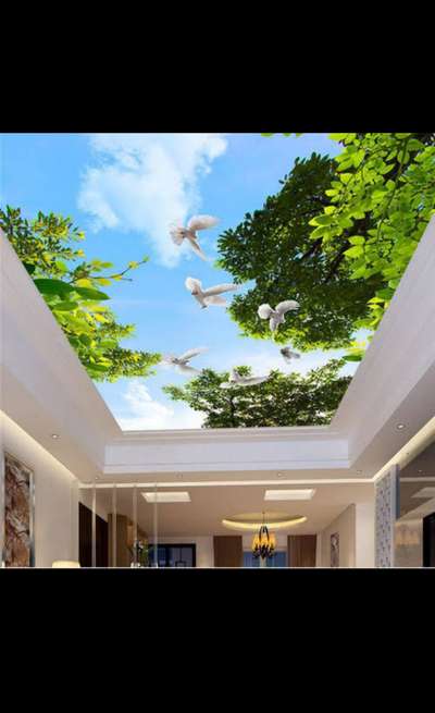 *PVC fabric backlight ceiling *
euro pvc fabric backlight ceiling,
all India