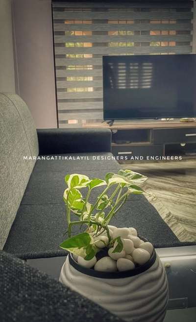 Home Interior#interiordesigns #InteriorDesigner #sofa