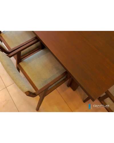 #DiningChairs  #DiningTable