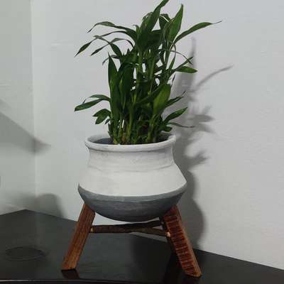 interior table pot 01 #IndoorPlants  #HomeDecor #keralastyle