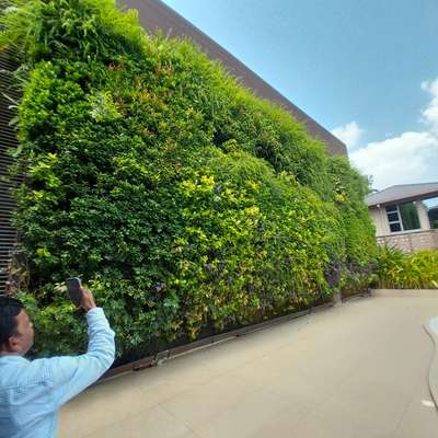 #Vertical garden at it's Best . Technowall®
6 years after installation without any topup and adding fertilizers.
It is still thriving.
Built to thrive overtime.

Technowall ®
The real sustainable vertical garden system.
www.technoplanters.com
