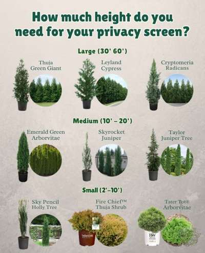 #LandscapeIdeas  #Landscape