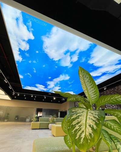 3D ceiling available