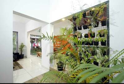 indoor plants