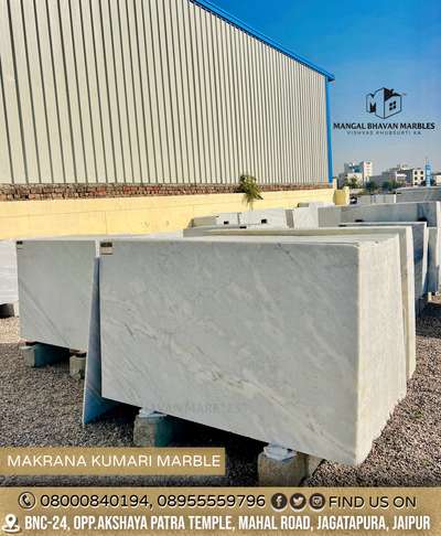 Slide Right ➡️ Available 1500 sq ft Premium Quality Of Makrana Kumari Marble with Unique Pattern . #makranakumarimarble 

DM FOR LOT PRICE 📩
VISIT at MANGAL BHAVAN MARBLES for Quality Marble And Granite for Your Dream Home.

📍BNC-24,Opp.Akshaya Patra Temple, Mahal Road, Jagatpura, Jaipur. 302017

#mangalbhavanmarbles #vishvaskhubsurtika
MARBLE - GRANITE - HANDICRAFTS 

DM or Call for Any Inquiry
📞 +918000840194, 08955559796 
📩 mangalbhavanmarbles@gmail.com
🌎 www.mangalbhavanmarbles.com

.
.
.
.
.
.
.
.
.
.
.
.
.
.
.
.
.
.
.
.
#whitemarble #dungrimarble #kitchendesign #kitchentop #stairsdesign #jaipur #jaipurconstruction #pinkcityjaipur #bestgranite #marblehub #homeflooring #bestmarbleforflooring #makranamarble #pwhitegranite #makranawhite #marble #indianmarble #floortiles #homedecor #marblecity #instagramreels #stonehub #tbt #trending #featured #explorepage
@mangal_bhavan_marbles  #koloapp