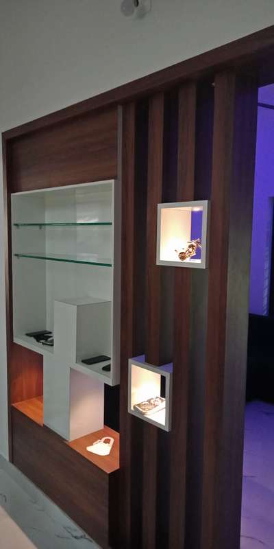 hall partition with tv unit