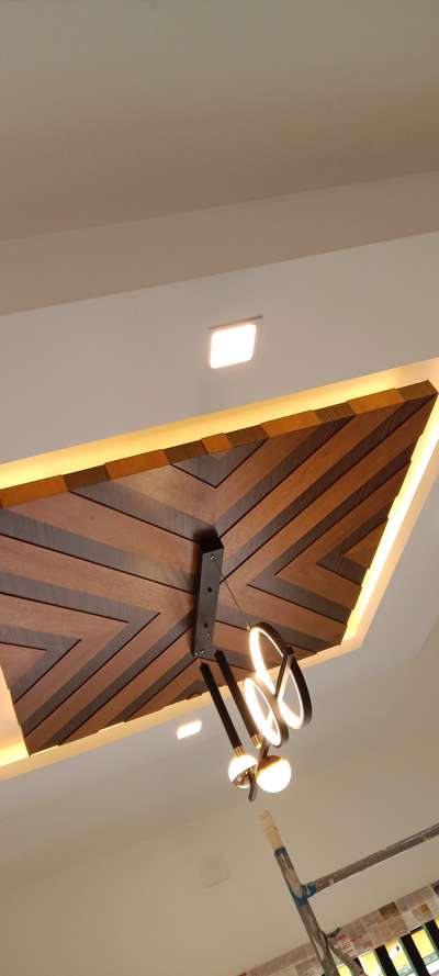 interior disign ceiling veneer