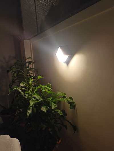 compound wall light 

#compoundwalllights #exteriorlighting #landscapelighting #ip69lightfixtures #ip69lights