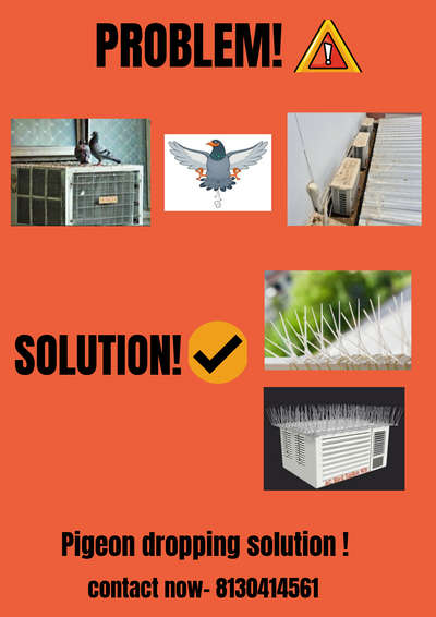 pigeon dropping  solution #Maa Electrical @8130414561