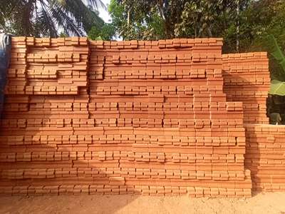 mud interlock bricks