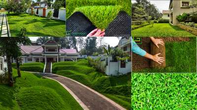 "Where there is no natural things , there is no beauty" 

Wholesale price natural grass installation.
Call:8075840361

Material :  Natural grass

Contact us :
 Greenberry Garden &  Landscaping. 
Kerala,
Mob :- + 8075840361,9895966507
Email : greenberrygarden@gmail.com

#landscapingkerala #baffalograss #landscapinginkerala #landscapingcompanykerala #landscapingserviceskerala #gardendoctor  #greenberrylandscaping #greenberrygarden #landscapeinkerala #landscapingcompanieskerala #greenberry #Bamboo #plants #bambooplant #thrissur #kerala #gazebo #garden #verticalgarden #indoorgardenrooms
#stoneartlandscape #naturalstones #naturalpavingstone #shahabadstone #thandoorstone #landscapinglife