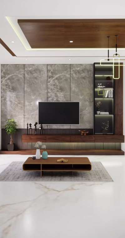 TV UNIT