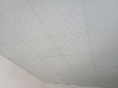 T grid ceiling