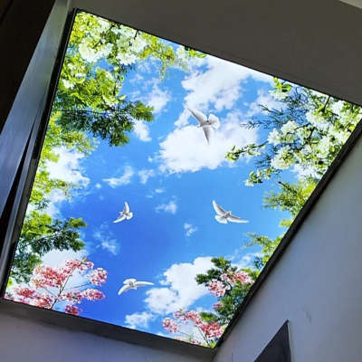 stretch ceiling #PVCFalseCeiling  #HomeAutomation 
contact our website www.dreamsolfactory.com
