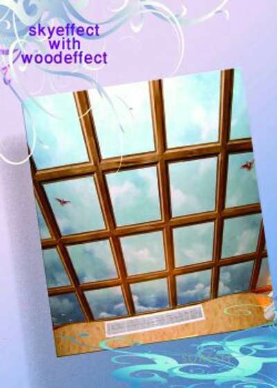 #Sky effect with wood effect #
#It depends on the place of work and the object. #
 1 Sqft=1100.00 # # #