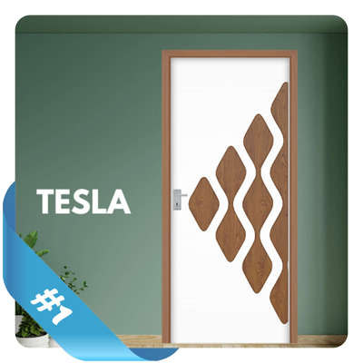 Tesla FRP Door By Navrang