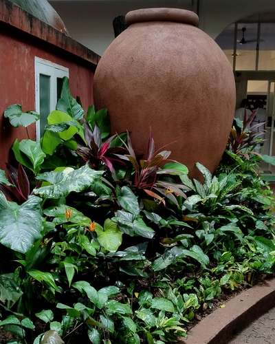 Tropical garden work
@bethsaidahermitage
#tropicalgarden #tropicalplants #tropicalgardenwork #tropicallandscape #tropicaldesign #tropicalhouse #tropicalvibes #tropicalspace  #tropical