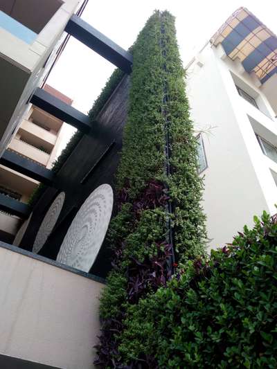 Vertical Garden