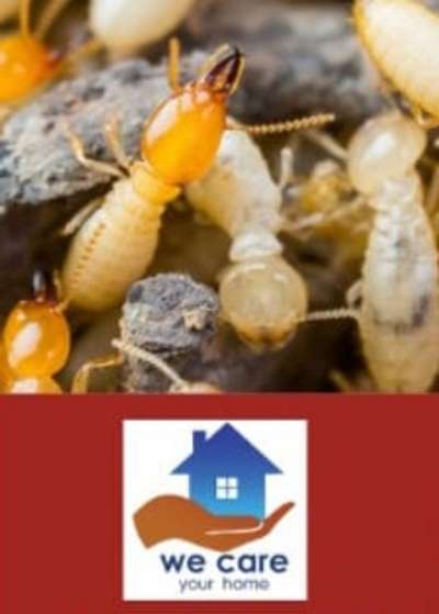 #pestcontrol  #termitecontrol  #pest control for pre and post construction