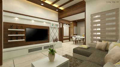 Living Tv unit