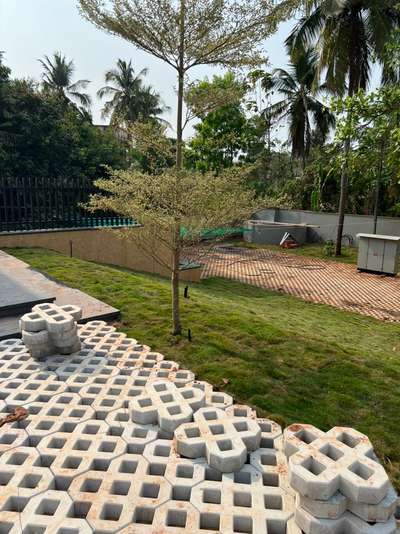 ongoing project at kasargod
 #pavingstone  #LandscapeIdeas  #LandscapeDesign  #Landscape  #LandscapeGarden  #tree #MexicanGrass
