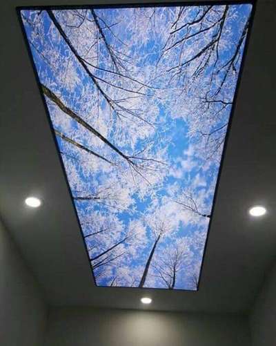 #3DCeiling
