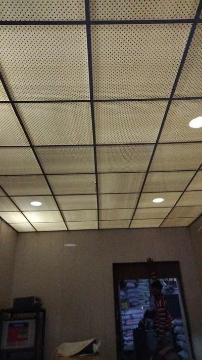 metal ceiling .95
7902137079