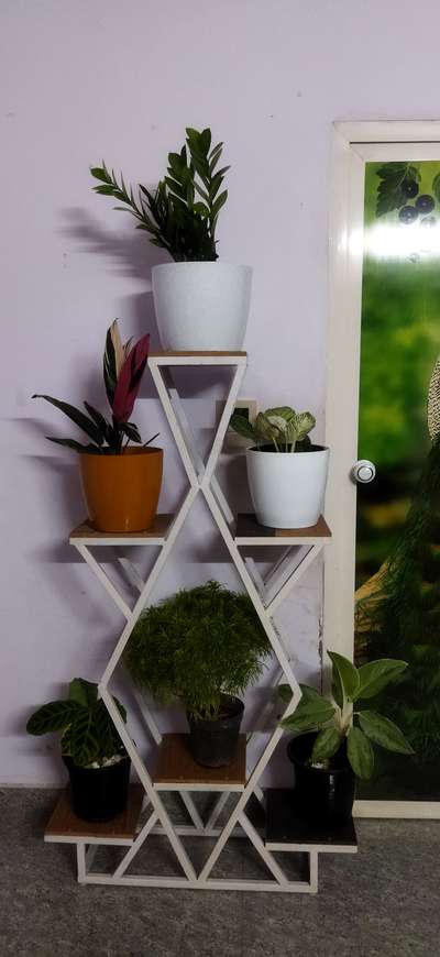 indoor plants stand rs3000