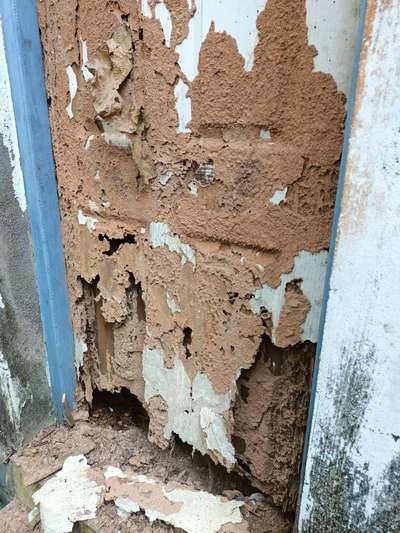 #Anti-Termite #termitedamge #termitecontrol #quicksure_pest_control #pestcontrol #calluson7994779994