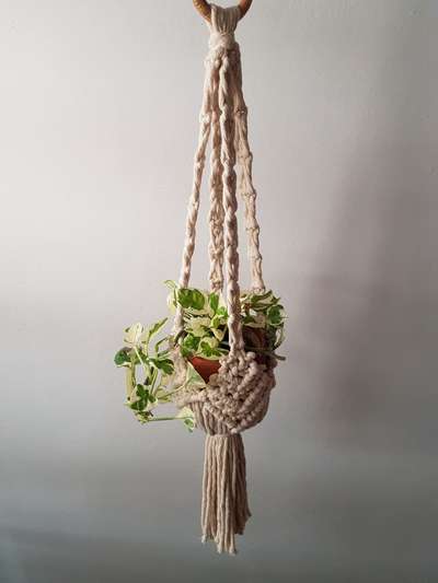 Macrame Plant Hanger 
Size -90cm length 
DM for order 🛒
Shipping all over India 🇮🇳 📦
.
.
#macramedecor #macrameplanthanger #planthanger #Homedecor #macrame