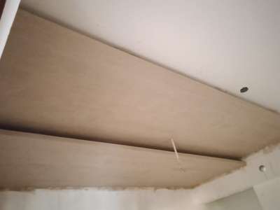 pop false ceiling double cob light