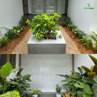 “The best part of a home is not its walls, but the life that fills it. Plants bring warmth and vibrancy, creating a sanctuary of peace.”
#GreenZoneTransformations #LandscapingGoals”#greenzonelandscape #lawncare #landscaping #gardendesign #OutdoorLiving#naturelovers #landscapedesign #backyardgoals #greenthumb #plantlife #OutdoorOasis
#GardenInspiration #dreambackyard #sustainablelandscaping #zengarden #outdoorspace #beautifulgardens