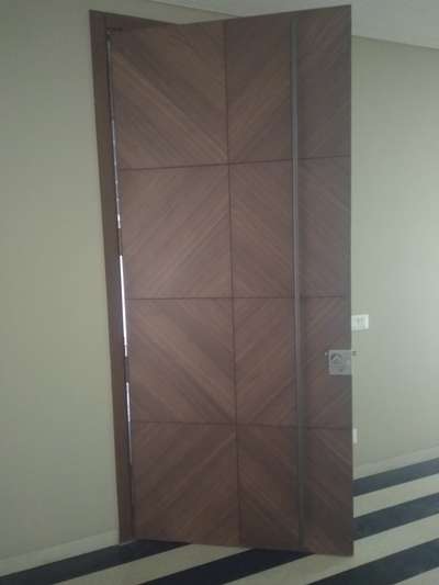 professional door