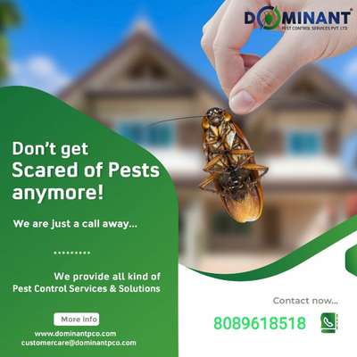 Bye Bye to Irritiant Pests...
call us @8089618518..
service @ all Kerala level