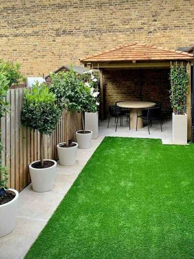 #grass #landscapingforhouses  #landscapes #Grasscarpet #bonsai #SmallBudgetRenovation #green