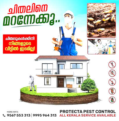#pestcontrol #antitermite #termite