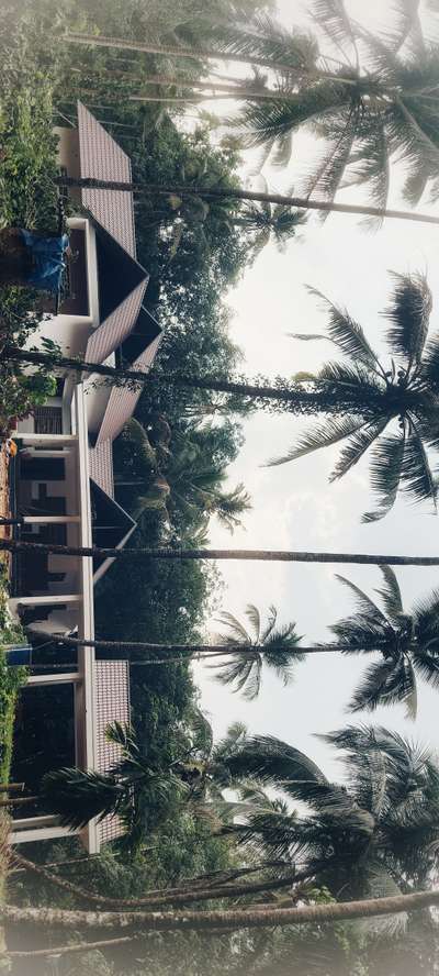 The Sculpt Casa Residence @ Chemperi,  kannur district 

#benchmarkarchitectskerala #tropicaldesign #tropicalminimalistic #tropicalhouse #tropicalarchitecture #SlopingRoofHouse #sloperoofbeauty #slopedroof #slopestyle #TraditionalHouse #traditionalstylehouse #exterior_Work #exteriors #exterior_ #LandscapeIdeas #landscapedesigns #GardeningIdeas #Kannur #kannurconstruction #kannurdesigner #Architect #architecturedesigns #architecturekerala #architectsinkerala #architectsinkannur #calicutdesigners #malayali #koloapp #viralposts #HomeDecor #homedecoration #ongoing-project