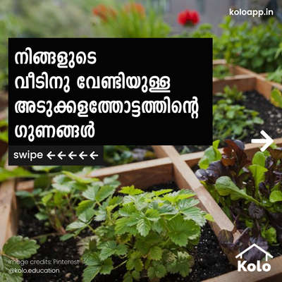 ഒരു അടുക്കളത്തോട്ടത്തിൽ സ്വന്തം ചെടികളും പച്ചക്കറികളും വളർത്തുക.അടുക്കളത്തോട്ടത്തിന്റെ ഗുണങ്ങളെ കുറിച്ച് കൂടുതൽ അറിയാൻ ടാപ് ➡️ ചെയ്യൂ.നമ്മുടെ പുതിയ സീരീസിലൂടെ സുസ്ഥിരമായ പ്ലാനറ്റിനു വേണ്ടി നമുക്ക് ഒരു ചുവടു വെക്കാം.കോലോ എഡ്യൂക്കേഷനിലൂടെ വീട് നിർമാണവുമായി ബന്ധപ്പെട്ട ടിപ്സ്, തന്ത്രങ്ങളും ഡീറ്റെയിലിസുകളും അറിയൂ.ഞങ്ങളുടെ പോസ്റ്റുകൾ നിങ്ങൾക്ക് സഹായകരമായെങ്കിൽ അതു എങ്ങനെ എന്ന് ഞങ്ങളെ കമന്റിലൂടെ അറിയിക്കൂ ⤵️കൂടുതൽ അറിയാൻ ഞങ്ങളെ ഫോളോ ചെയ്യൂ @koloeducation!!!#education #architecture #construction  #building #exterior #design #home #interior #expert #sustainability #koloeducation #kitchen #garden #ecofriendly