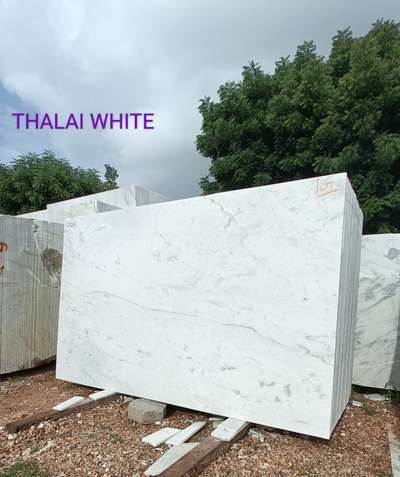 THALAI WHITE MARBLE
