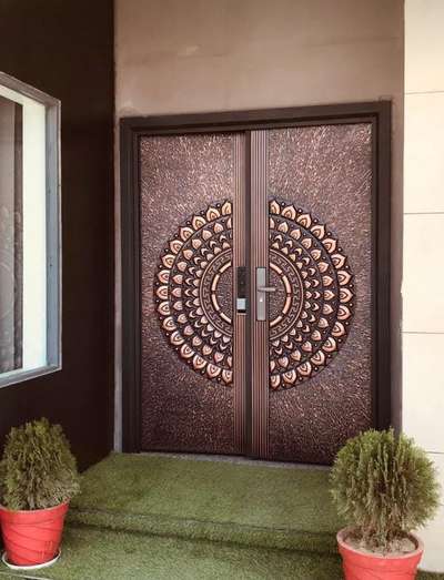 steel door with bio matric options