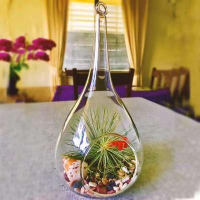 Teardrop Hanging Succulent Air Plant Terrarium
#interior #decor #ideas #home #interiordesign #indian #colourful#terrarium #decorshopping