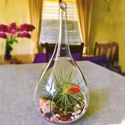 Teardrop Hanging Succulent Air Plant Terrarium
#interior #decor #ideas #home #interiordesign #indian #colourful#terrarium #decorshopping